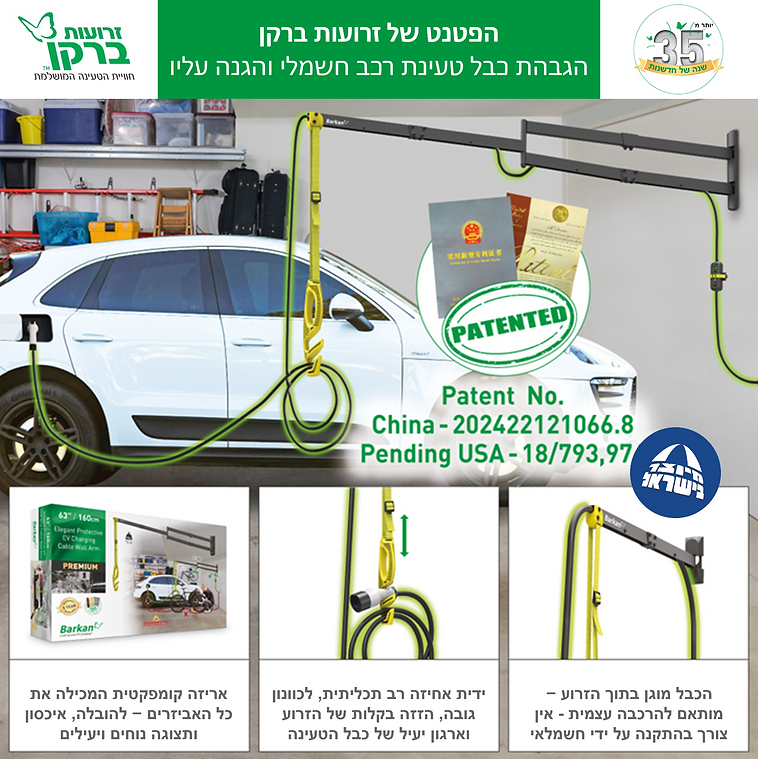 זרוע EV300WM